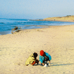 Rowe Strand